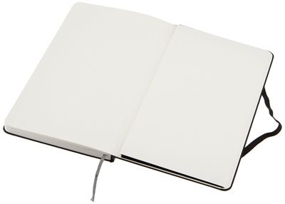 AmazonBasics Blank hardcover notebook: Blank pages of the same notebook.